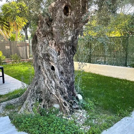 Joli Rez De Jardin 4 Pieces A Sur * Cagnes-sur-Mer